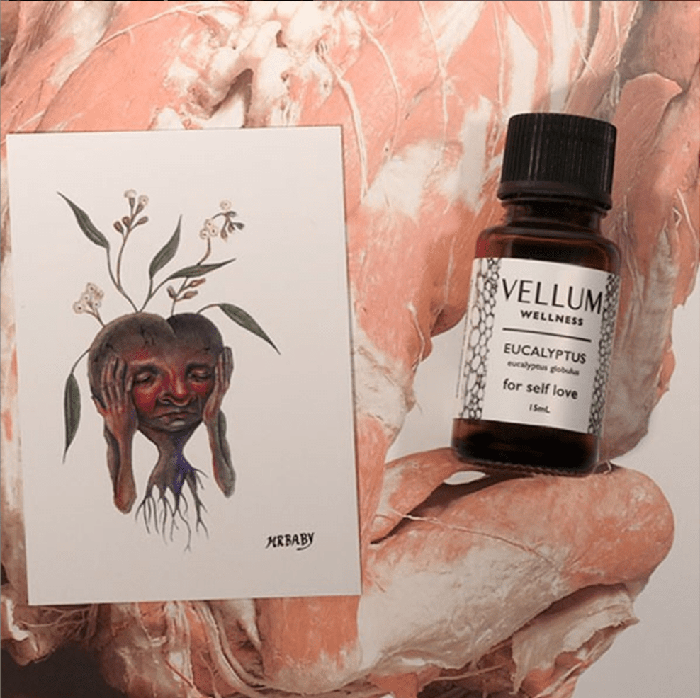 Eucalyptus Essential Oil | Vellum Wellness
