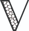 Vellum Wellness