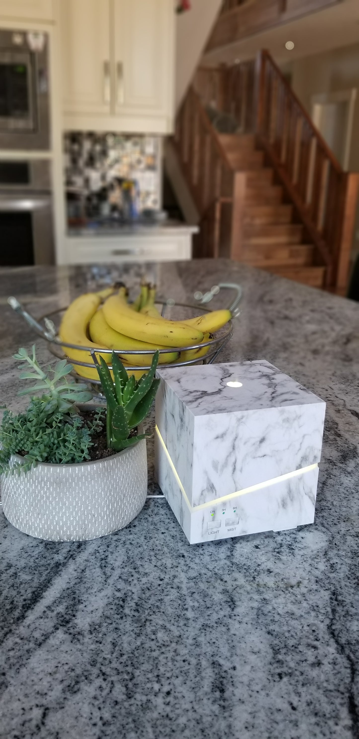 Vellum Wellness