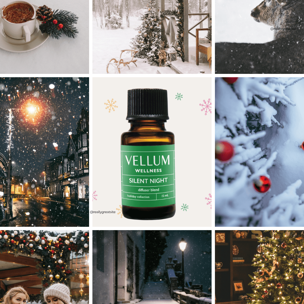 
                  
                    Silent Night Diffuser Blend | Vellum Wellness
                  
                