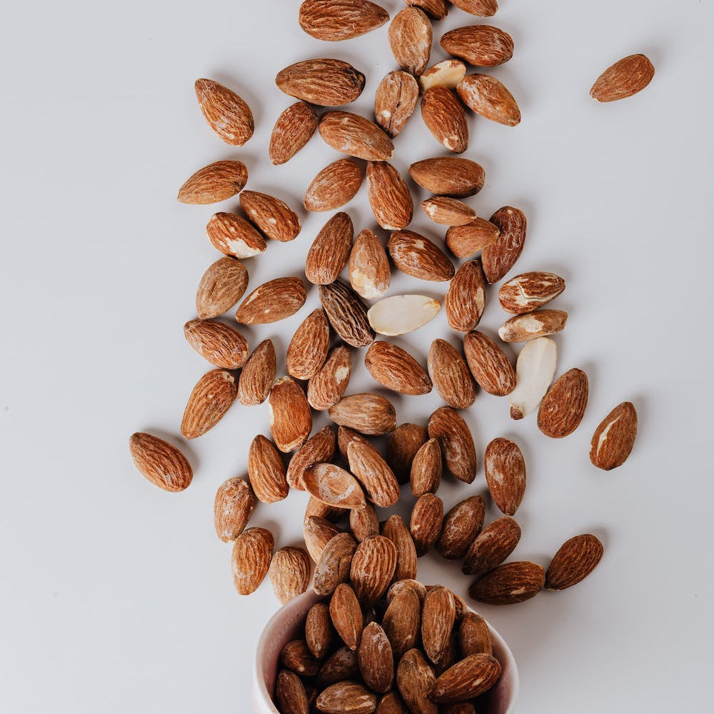 
                  
                    Almond Base Oil | Vellum Wellness
                  
                