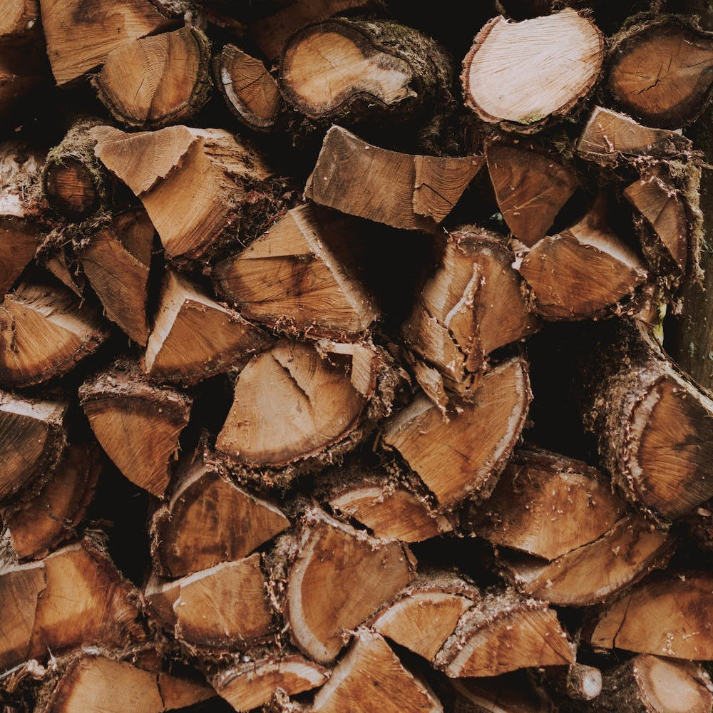 
                  
                    Cedarwood Essential Oil | Vellum Wellness
                  
                