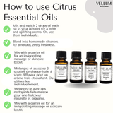 Citrus Essential Oil Bundle | Vellum Wellness