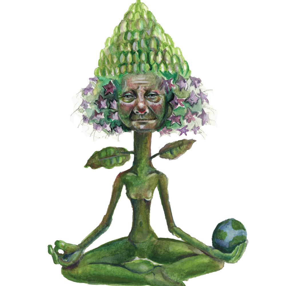 
                  
                    Graphic - Patchouli Essential Oil | Vellum Wellness
                  
                