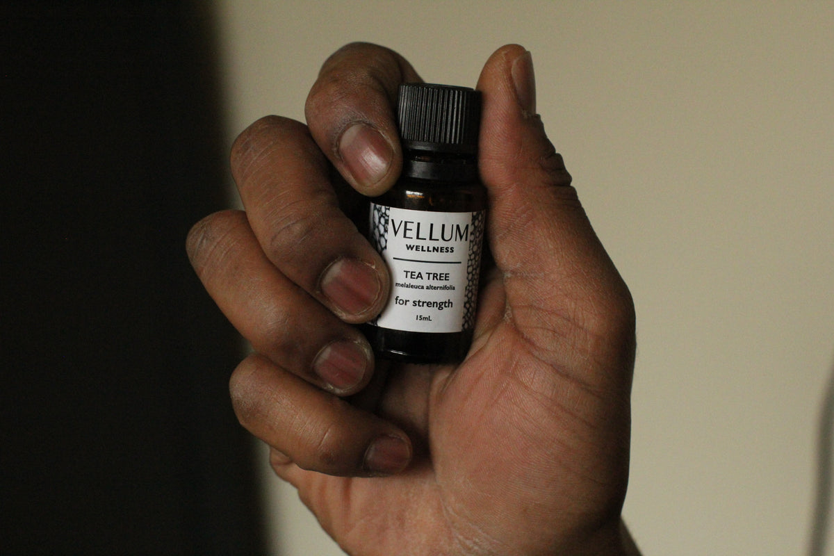 Tea Tree Essential Oil | Vellum Wellness