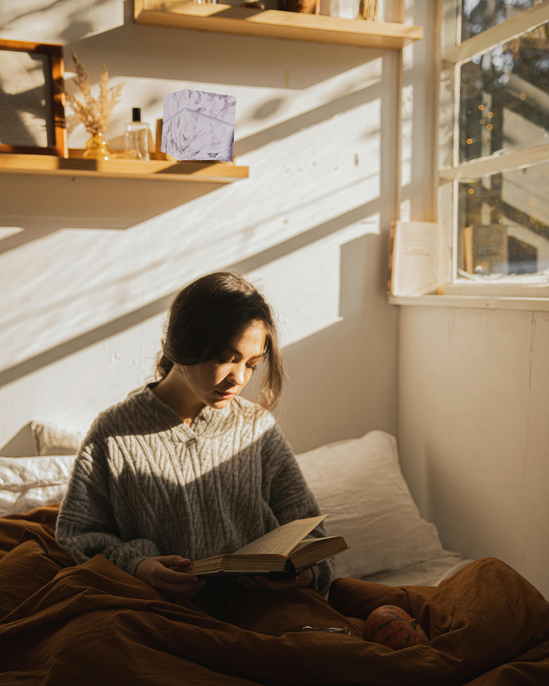 Vellum Wellness