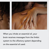 Aphrodisiac Kit | Vellum Wellness