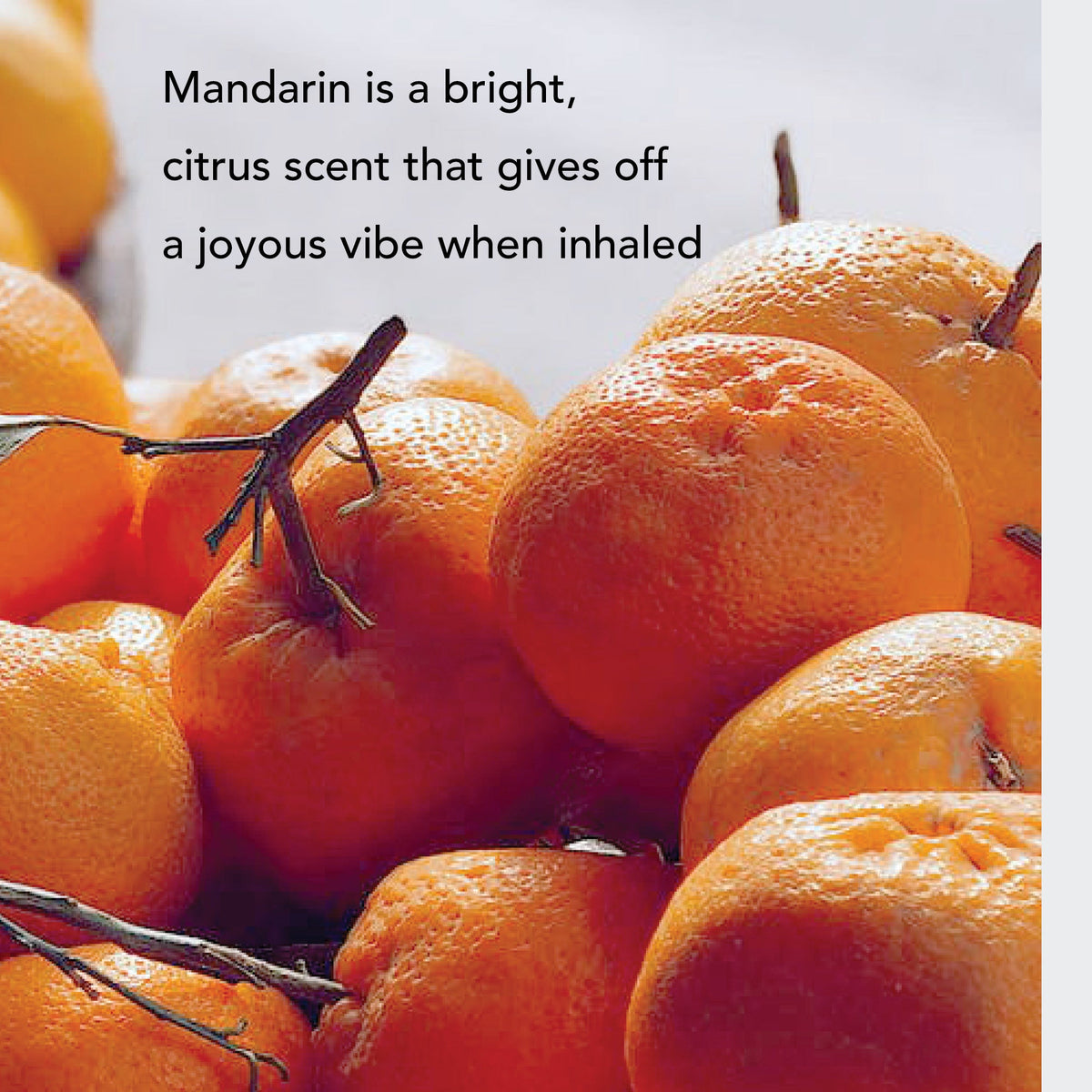 Mandarin Essential Oil | Vellum Wellness