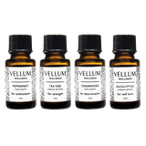 Winter Essential Oil Bundle (for the diffuser and shower) | Vellum Wellness