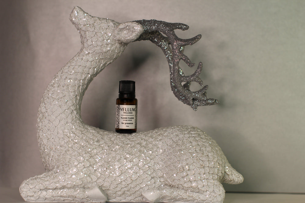 Ylang Ylang | Vellum Wellness