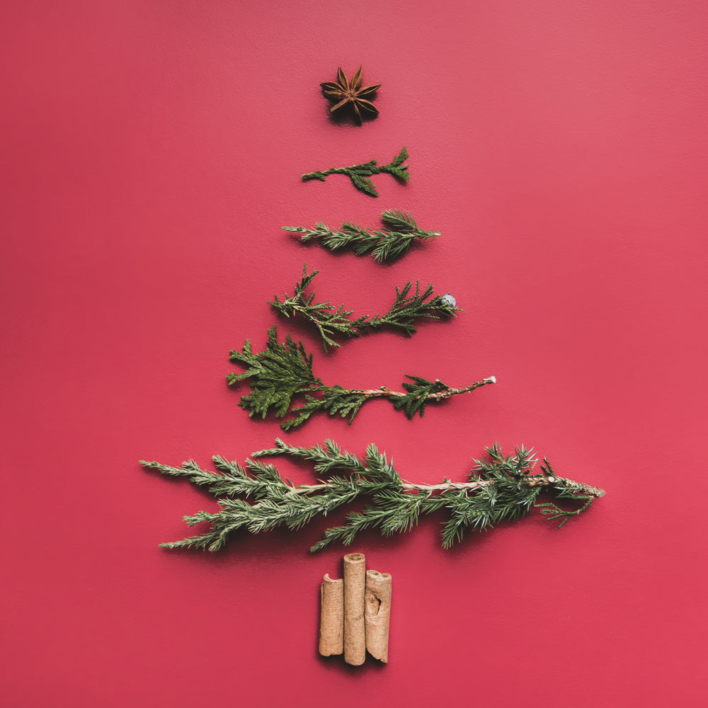 Cinnamon essential oil