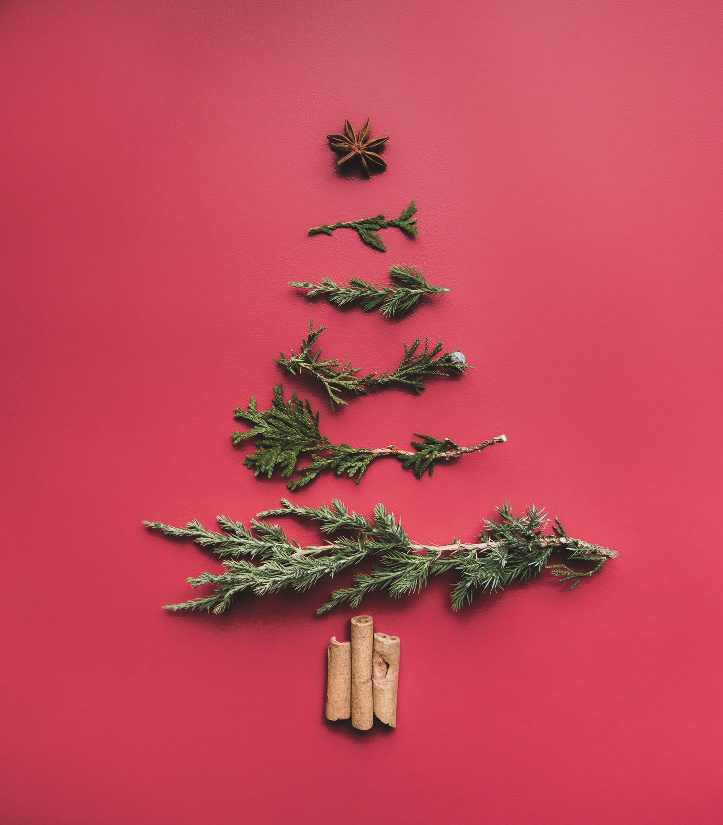 Cinnamon - Festive Feeling