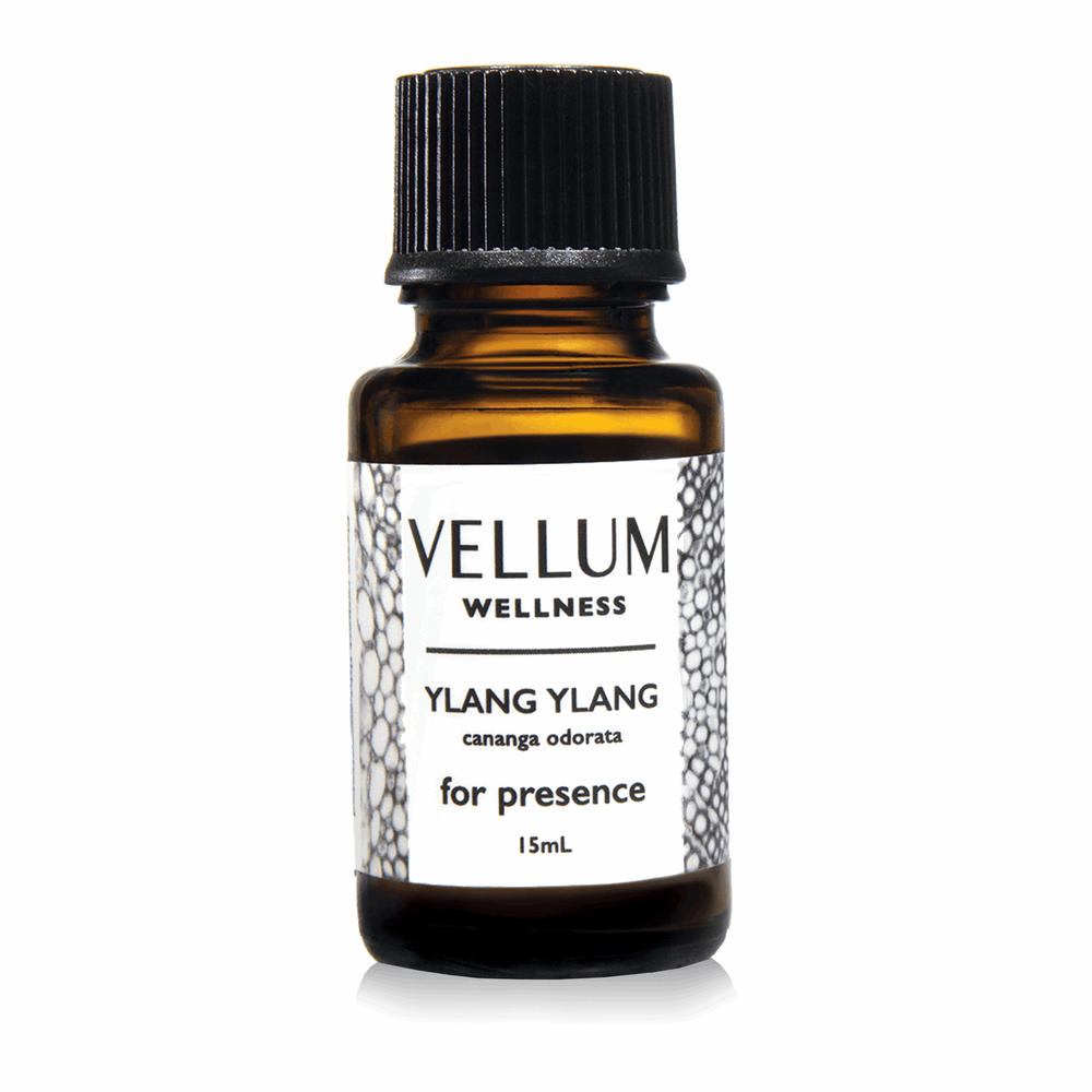 
                  
                    Ylang Ylang
                  
                